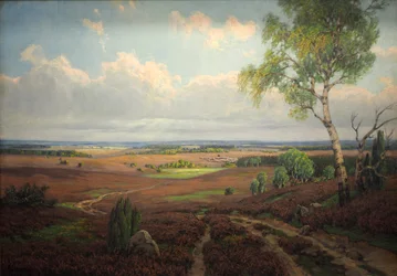 Auf blühender Heide